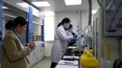 2025年聊城市“匠心聚力 实干抢先”食物 