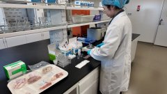 “人防+技防”守护进博会“舌尖上的平安 